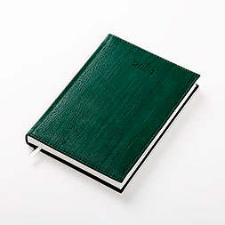 Kalendarz książkowy A5 dzienny, Acero, zielony