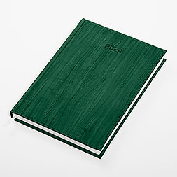 Kalendarz książkowy B5 dzienny, Acero, zielony
